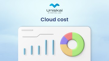 Understand your cloud billing concept on Uniskai by Profisea Labs. Tutorial video for beginners