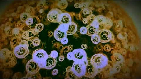 spoon 2 - another Plumbutter drum 