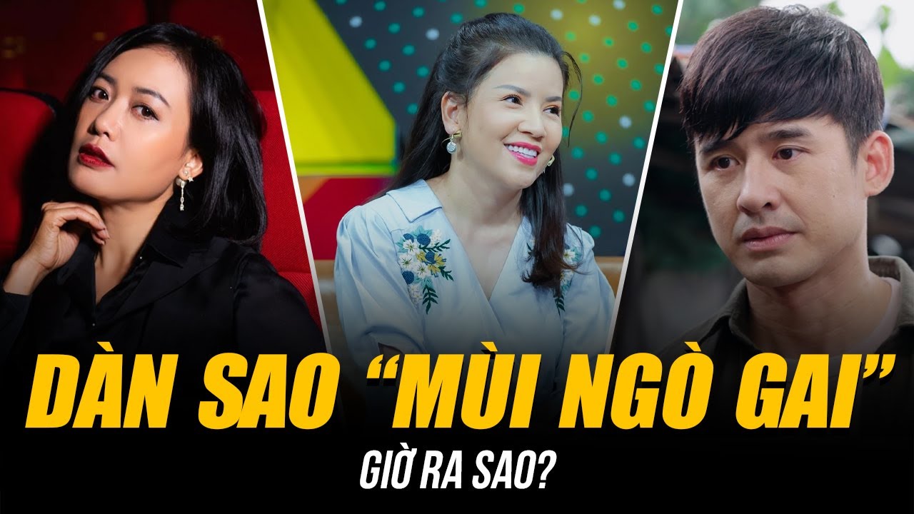 DÀN SAO “MÙI NGÒ GAI” SAU 19 NĂM GIỜ RA SAO? | 2 NGƯỜI  RA ĐI ĐỘT NGỘT VÌ CÙNG MỘT LÝ DO!