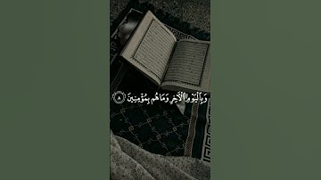 تلاوة هادئة #قران_كريم #قران_كريم #راحة_نفسية #اكسبلور