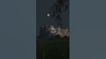 ياأيها الذين آمنوا اصبروا وصابروا ورابطوا واتقوا الله لعلكم تفلحون | الآية 200 من سورة آل عمران