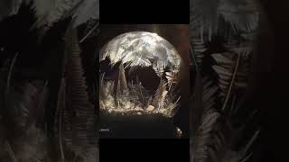 #short #photography #perception #Credit: Mike Shaw