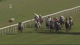 Age of Jape - vítěz klasické trojkoruny 2009 (Velká jarní cena, České derby, St. Leger)