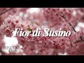 FIOR DI SUSINO - Enrico Musiani (Lyric video)