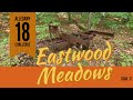 Allegany 18 Challenge -  Eastwood Meadows (Trail 17)