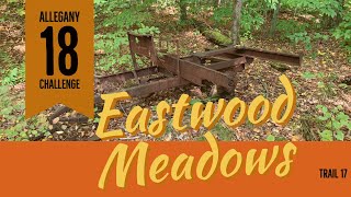 Allegany 18 Challenge -  Eastwood Meadows (Trail 17)