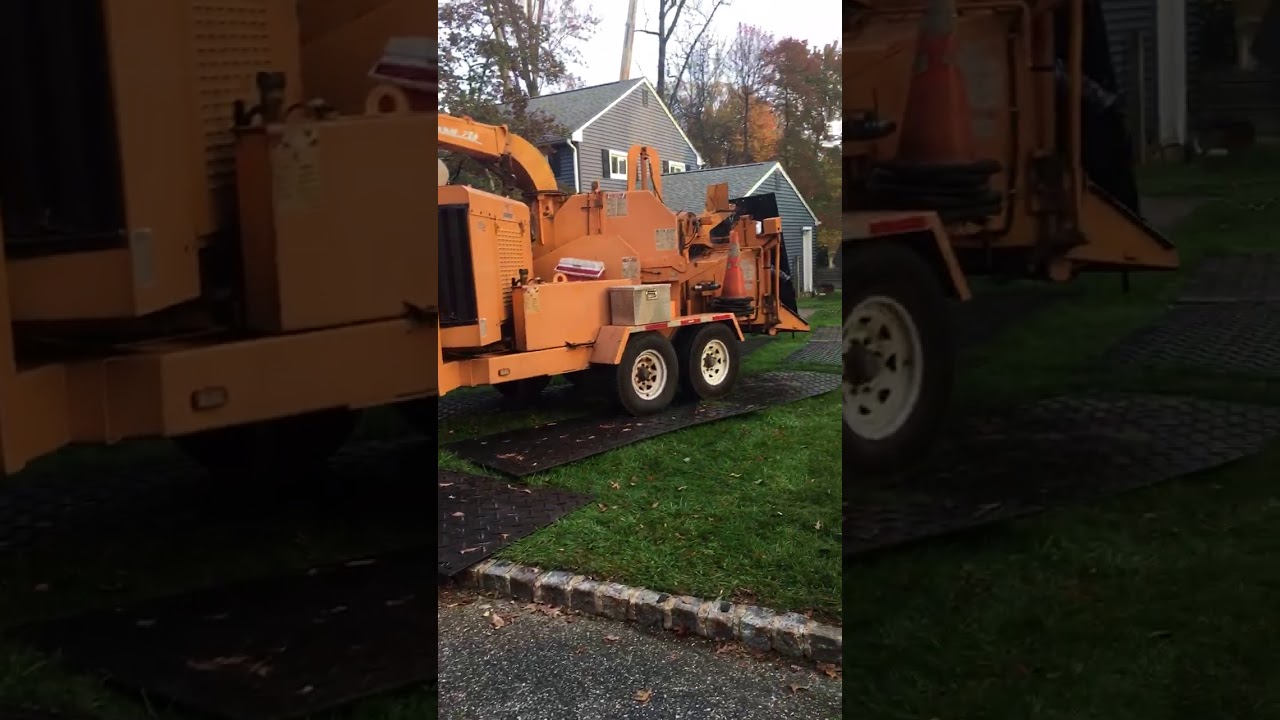 Tree Service Morris Plains NJ