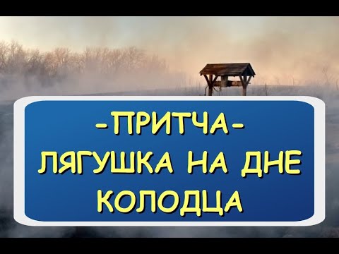 Лягушка на дне