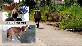 #AMEGAVLOGGER #255 VLOG VACCINE FOR (CHOI) 5 IN 1 UG ANTI RABIES DONE