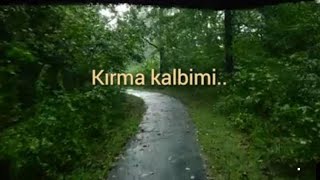 Mehdi Ahmadvand | Del Nashkan | Kırma Kalbimi (Türkçe Çeviri)