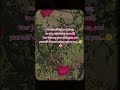 Emotional Beautiful heart touching lines❤️#shorts#viral#trending#love#youtubeshorts#shortvideo#music