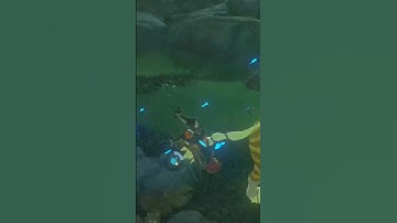 POV: You Just Pivot Flipped Into An SBR AND Into Bullet Time!!! [BOTW Combat Tech!!!]