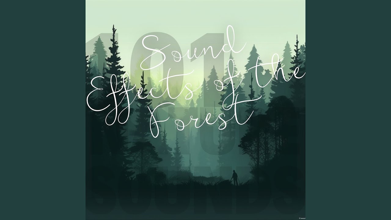 Melodious Songbird Sounds