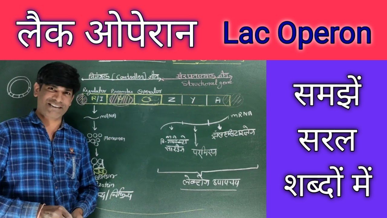 ओपेराॅन मॉडल। लैक ओपेराॅन।
