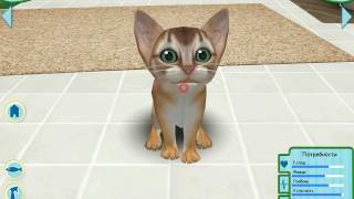 Игра Catz - первый запуск, с комментарием Игра Catz - первый запуск, с комментарием