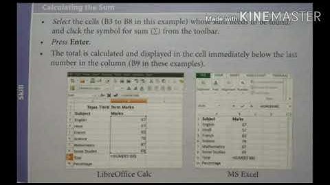 MLZS JHANSI CLASS 6 Computer Chapter 5 Introduction to Spreadsheet Lecture 2