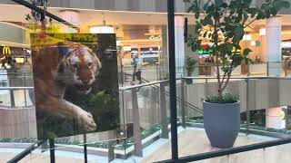 Wildlife Photographer’s Exhibition At South Forum Mall ,Bangalore | Wildlife Photography 