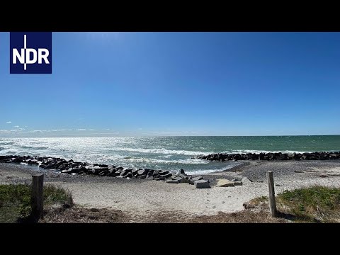 Hiddensee - Kultinsel in der Ostsee | die nordstory | NDR