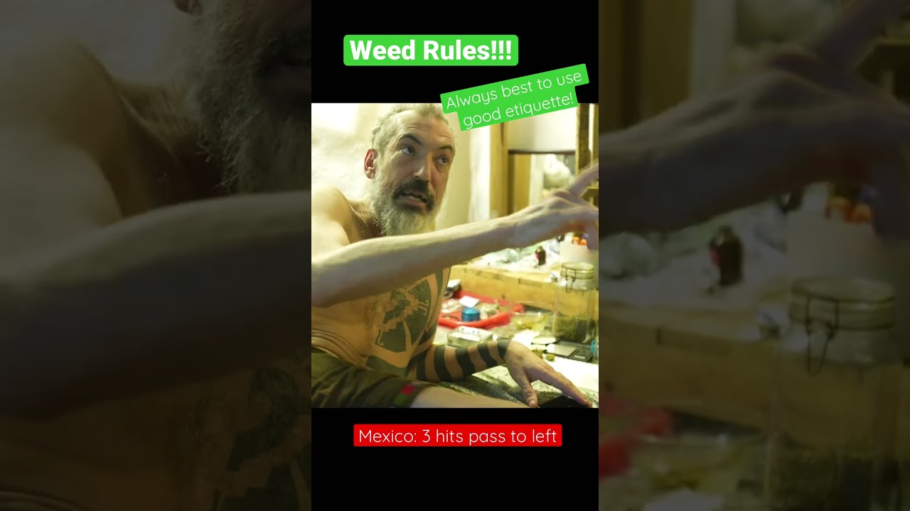 Weed Rules! Some pro tips on good smoking protocol 🔥🔥 
