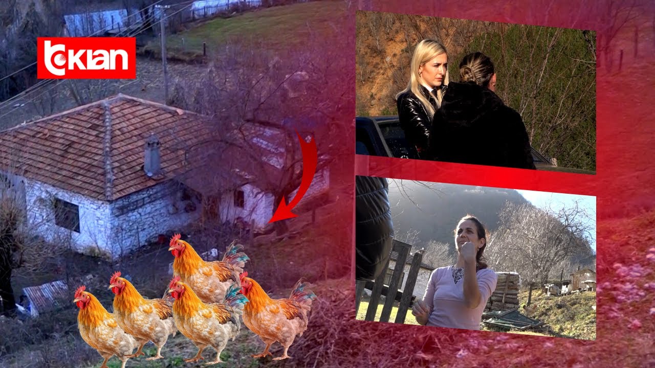 Stop/Sherri i komshijeve për pulat që kalonin gardhin, njëra përfundon në spital- 9 Janar 2024