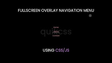 Custom Fullscreen Overlay Navigation Menu (CSS/JS).