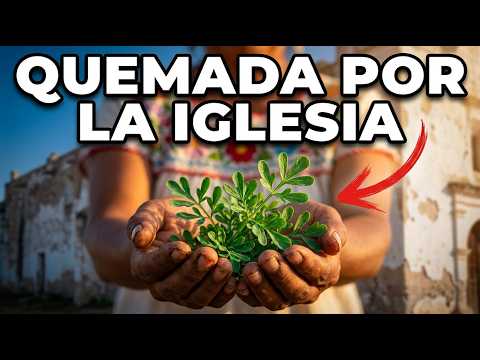 The Herb Against the "Evil Eye" That the Church and Healers Fought Over — And Its Danger