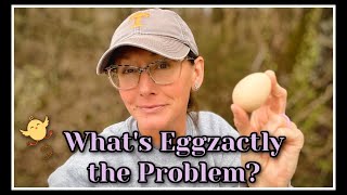 🍳 WHY Eggs are SO Expensive Now~The Real Timeline