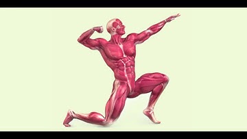 Jock Science - Movement Variability