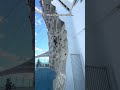 Any time on a ship is a good time.
