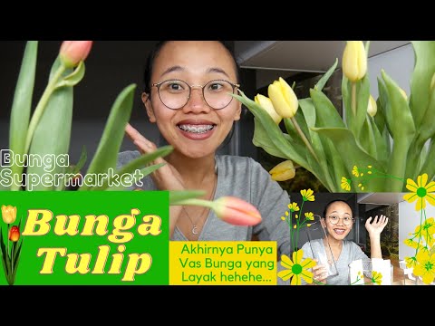 Video: Bagaimana cara menyimpan tulip potong di rumah?