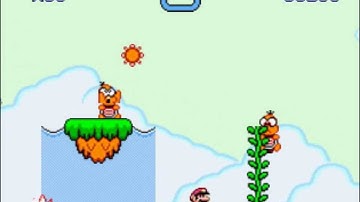 Super Mario Flash 2 Custom Level: Peek-a-Boo Lakitus!