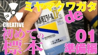 ミヤマクワガタで初めての標本！【01準備編】簡単にできる昆虫標本の作り方と失敗しないためのエタノール