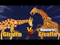 Unnatural giraffe vs giraffe  unnatural habitat animals animation