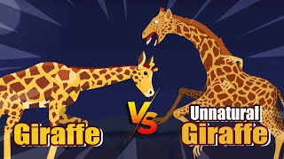 Unnatural Giraffe vs Giraffe | Unnatural Habitat Animals Animation
