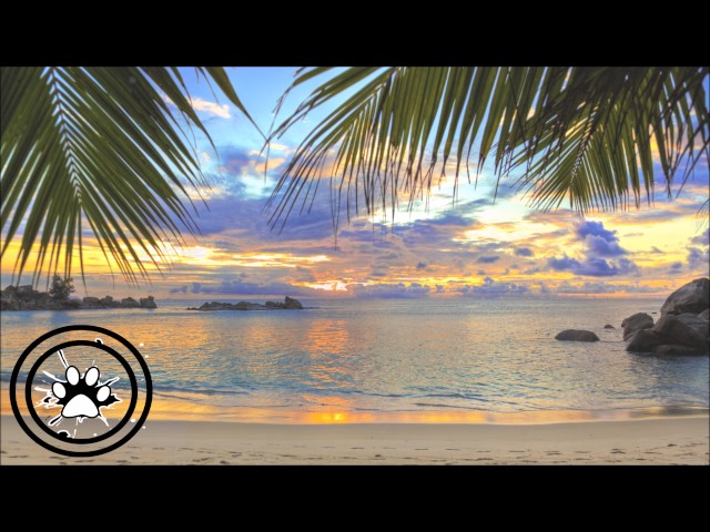 Garmiani - Voodoo (feat. Walshy Fire)