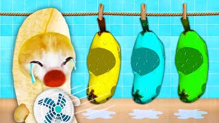 Banana Cat and the Wet Clothes Mystery! 😹🍌🐱 Baby Banana Cat Compilation | Happy Cat Crying MEME 😿