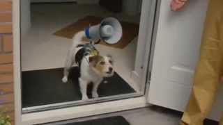 New September 2014 Epic Failwin Compilation Part 9