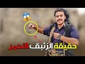 حقيقة الزئبق الأحمر مشاهد نادرة لمن عثروا عليه حقيقة الزئبق الأحمر مشاهد نادرة لمن عثروا عليه