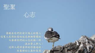 Download Lagu 靈修:聖潔-心志 20250902 MP3 Download Lagu 靈修:聖潔-心志 20250902 MP3