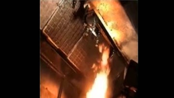 D.O.G Filters Intertek Testing