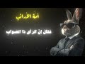 يحكون ان امة الارانب