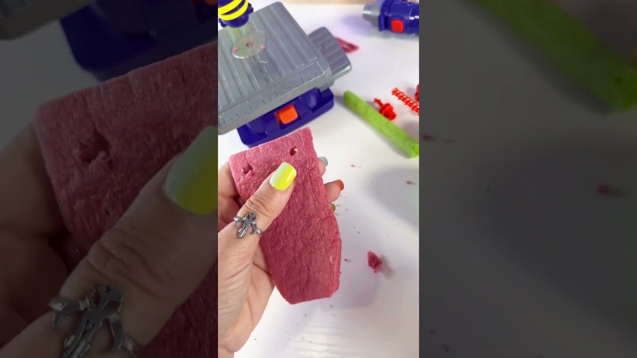 Nickelodeon Zog Logs Workshop 