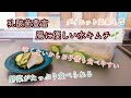 乳酸菌と野菜がたっぷり✨簡単水キムチの作り方