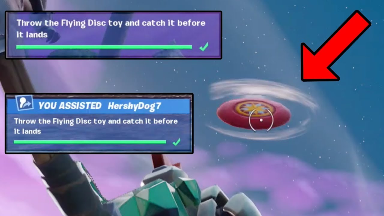 THROW THE FLYING DISC TOY AND CATCH IT 