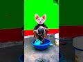 Cycle Cycle Mari Sonani Cycle 源 Orignal Songs Anandilal Bhawel Mp Adivasi Songs Funny Shorts Cycle Cycle Mari Sonani Cycle 源 Orignal Songs Anandilal Bhawel Mp Adivasi Songs Funny Shorts