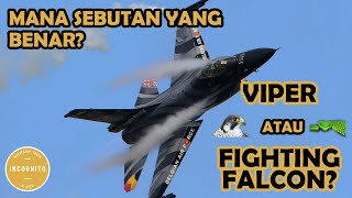 What Is the Correct F-16 Nickname? Viper or Fighting Falcon?
