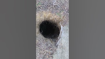 How to dig  holes for building a fence #1/2