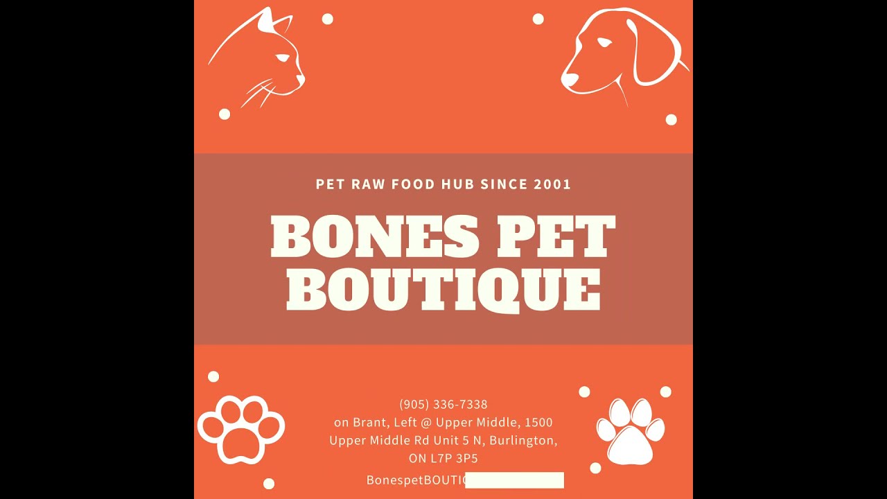 BONES PET BOUTIQUE Raw Pet Food Hub in Burlington Ontario YouTube