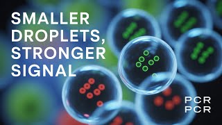 The Digital PCR Paradox: How Smaller Volumes Create Bigger Signals
