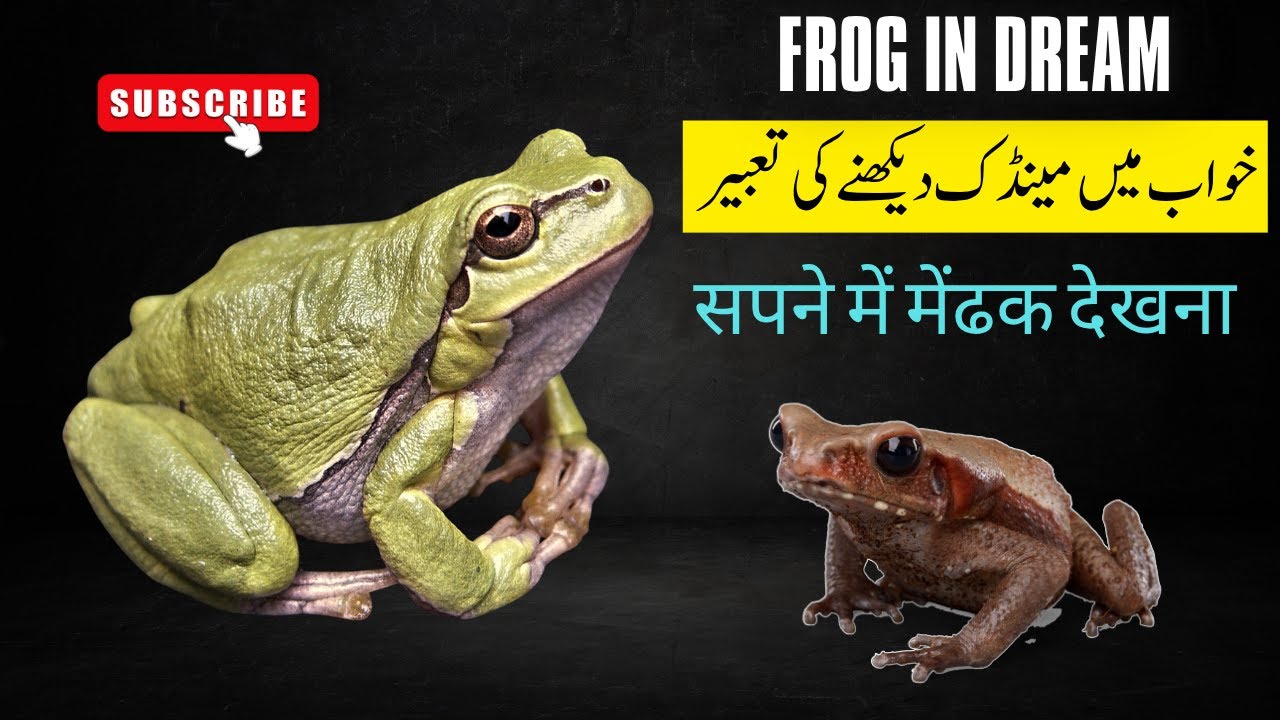 Frog In Dream | Dream Info | Khwab Mein Mendak Dekhna | सपने में मेंडक देखन || خواب میں مینڈک دیکھنا
